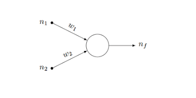 Figura 2; Representación de un perceptrón.