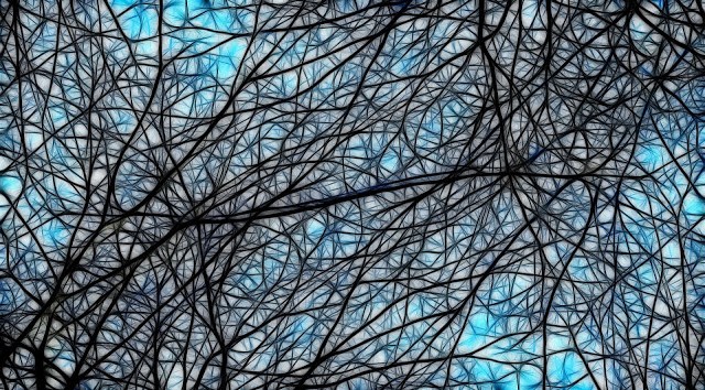  Neuronas.