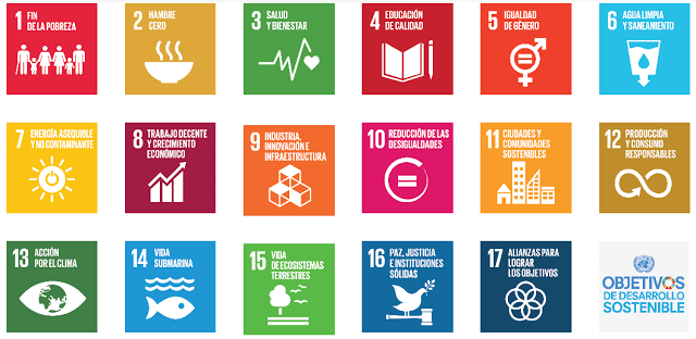 Figura 5: Objetivos para el Desarrollo Sostenible (ODS).