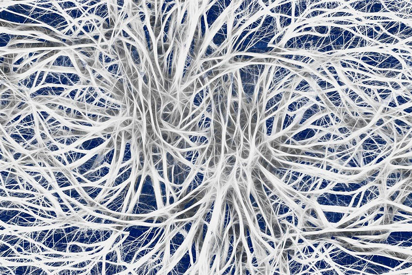 Las matemáticas del Machine Learning: Redes Neuronales (Parte I)
