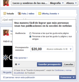 Facebook Ads presupuesto