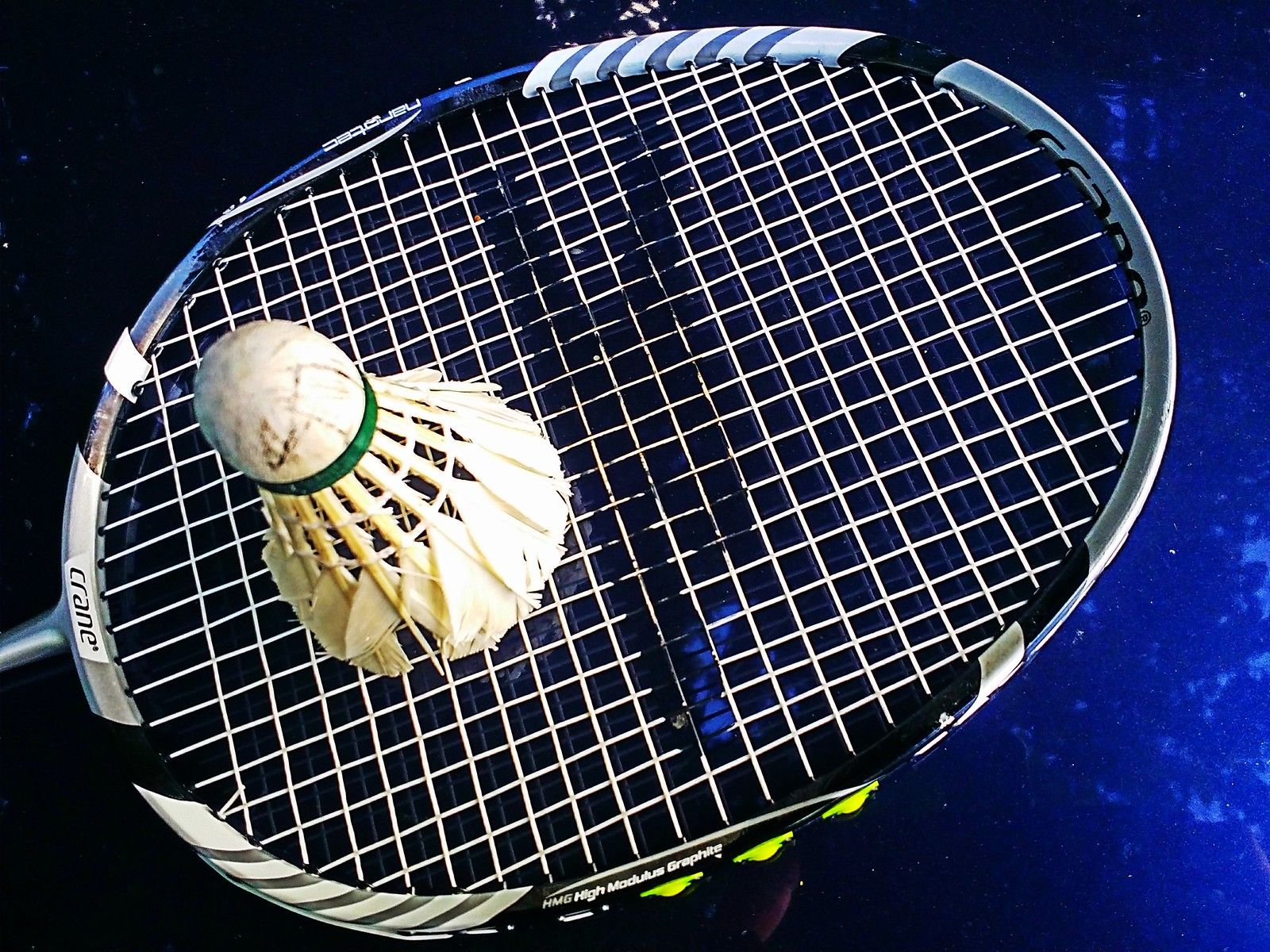 Big data en bádminton para mejorar los planes de entrenamiento y las estrategias de competición