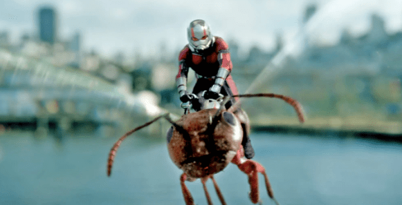 Ant-Man montado sobre una avista. Fuente.