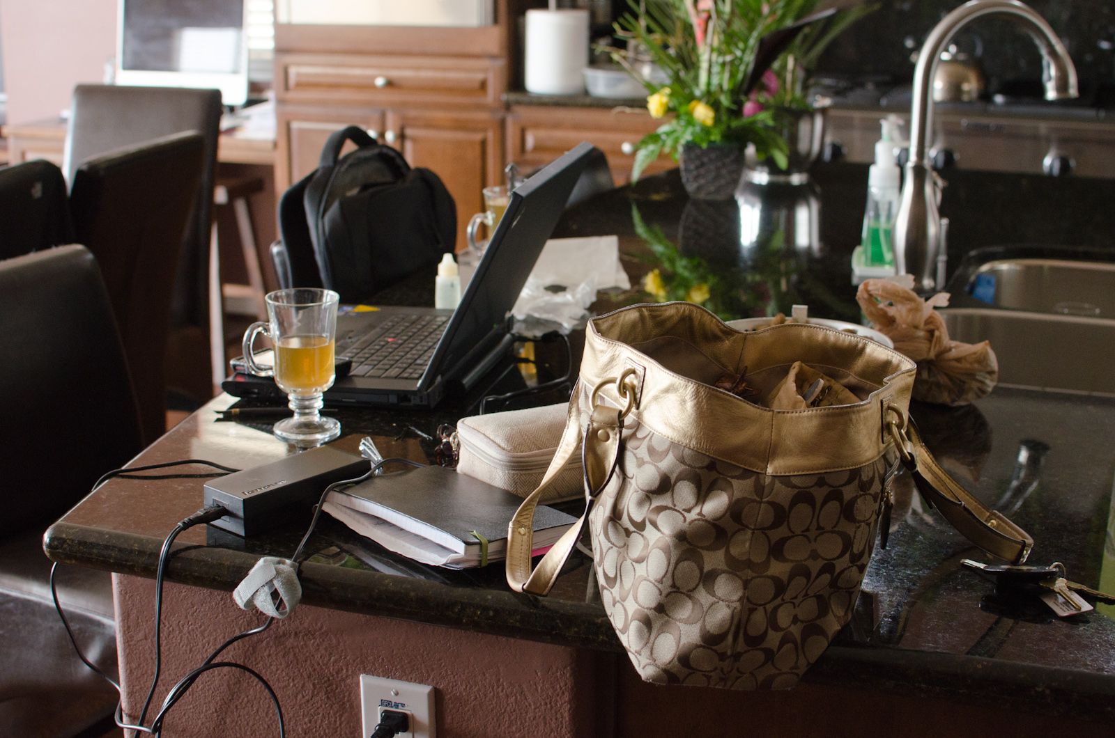 El teletrabajo y sus circunstancias: desde casa con humor