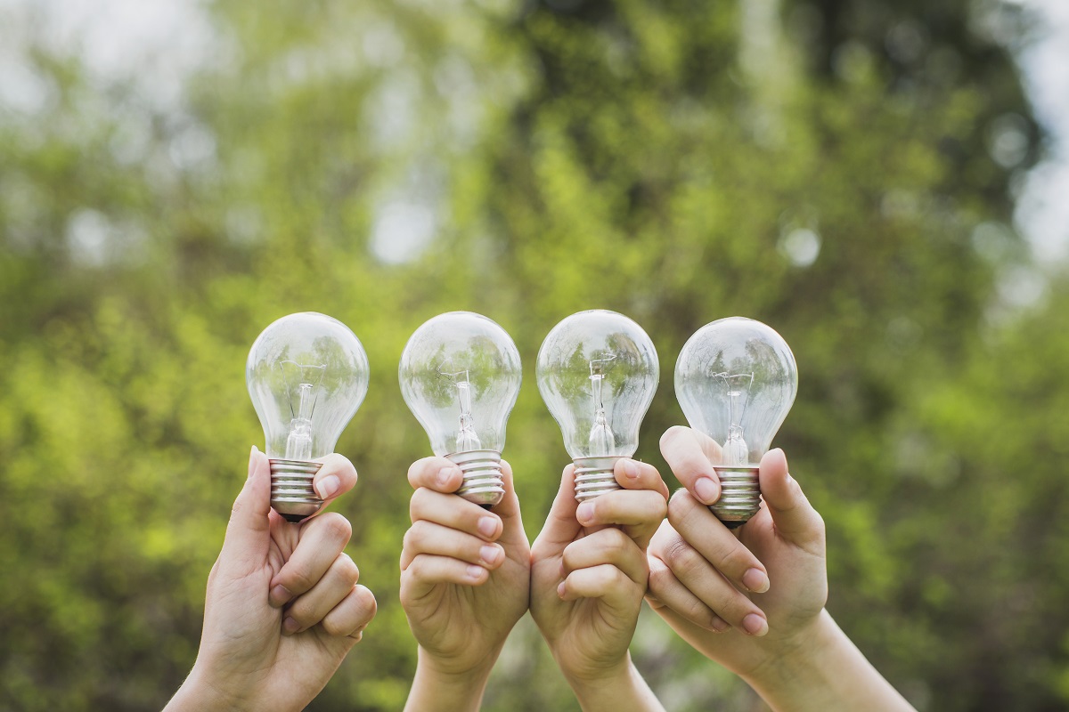 Hybrico, la start-up que busca proteger el medio ambiente