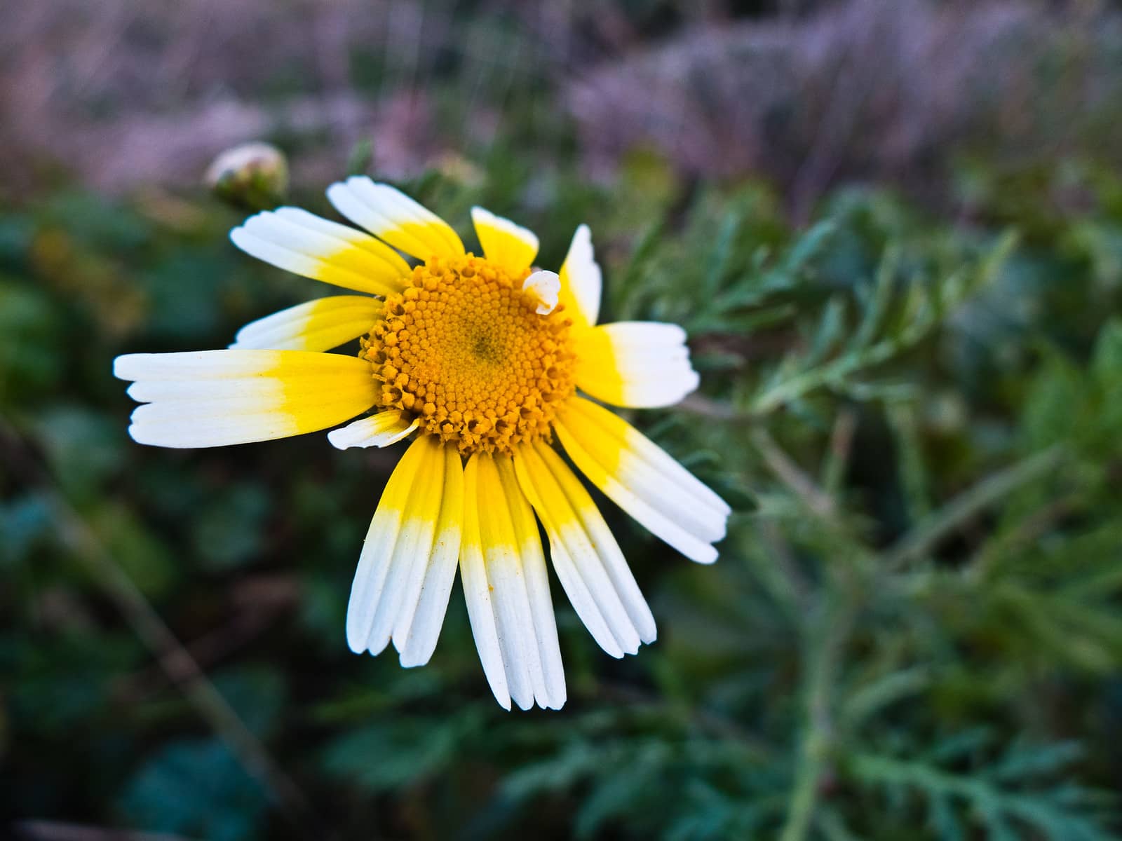 La educación, ante un reto y una oportunidad