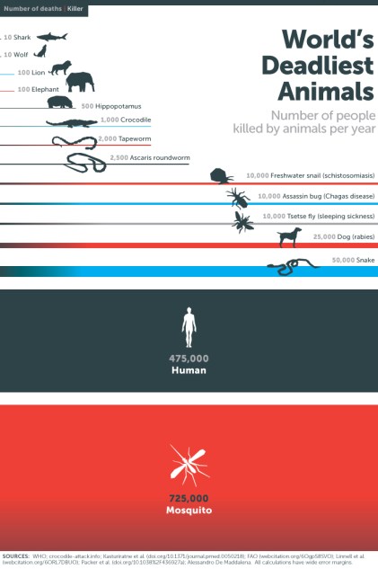 Figura1: Los animales más letales para el hombre (fuente)