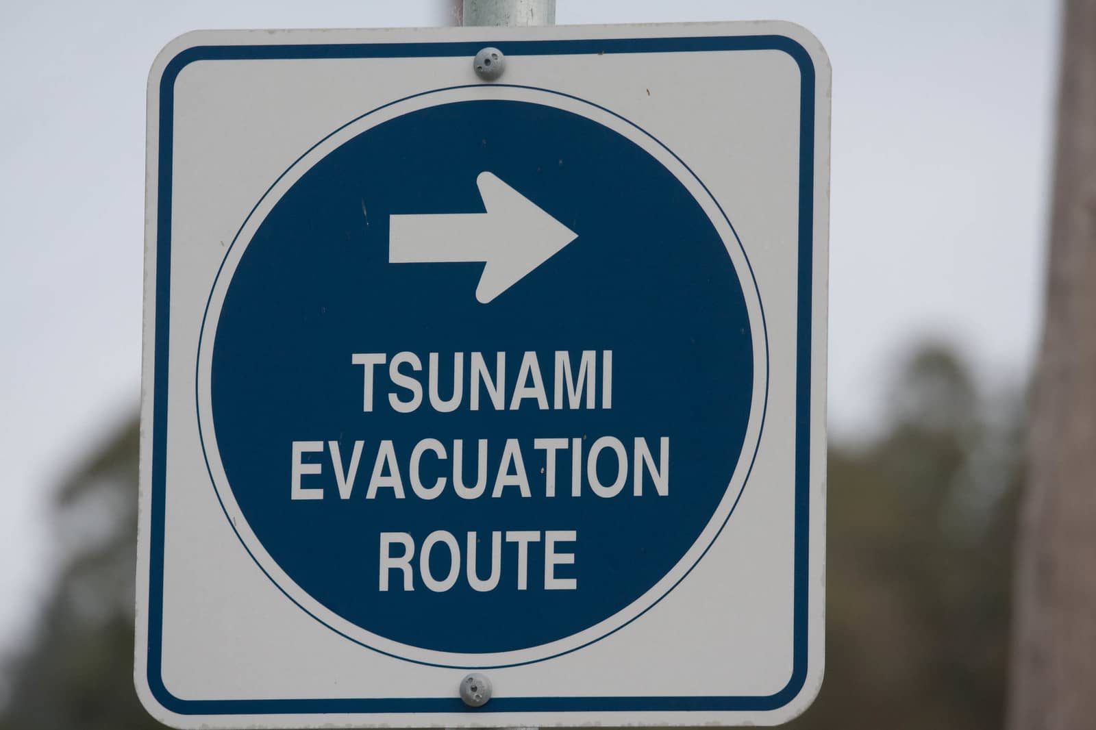 El tsunami del COVID-19 y una recuperación que exige nuevos cimientos