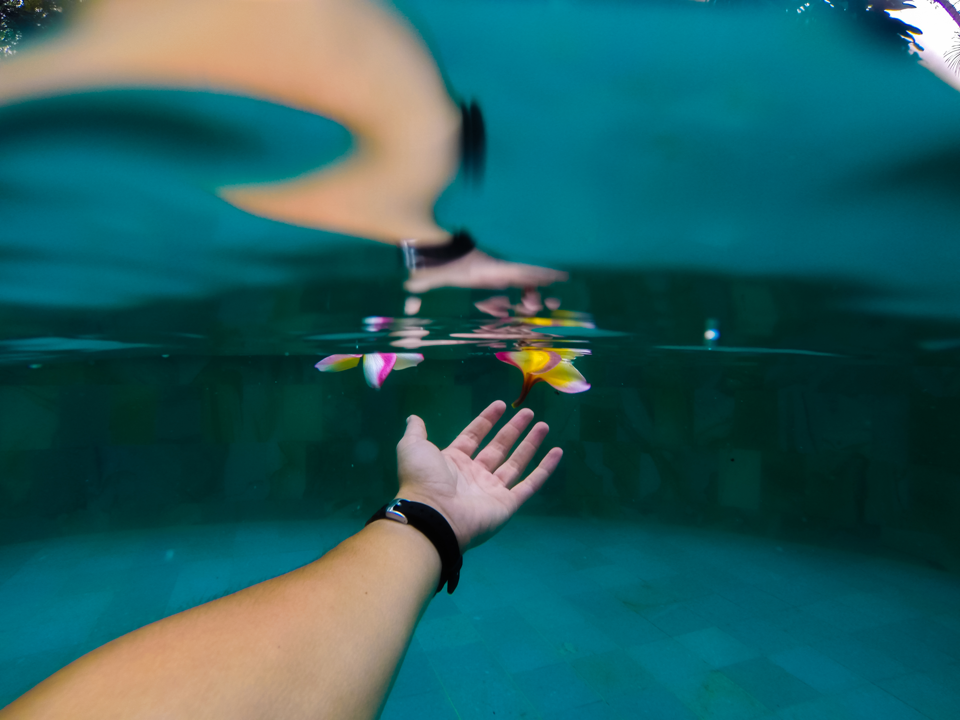 Telefónica refuerza su apuesta por el ecosistema de Blockchain