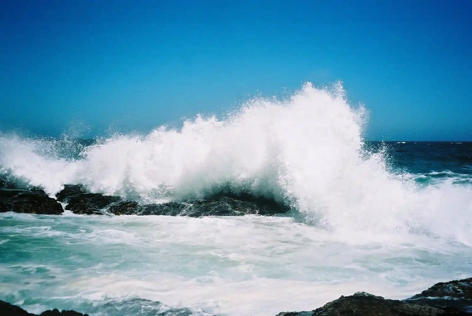 Cómo navegar en la incertidumbre provocada por la pandemia