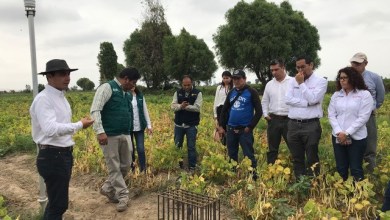 Explicación propuesta tecnológica en campo a la Viceministra de Políticas Agrarias del Ministerio de Agricultura y Riego de Perú.