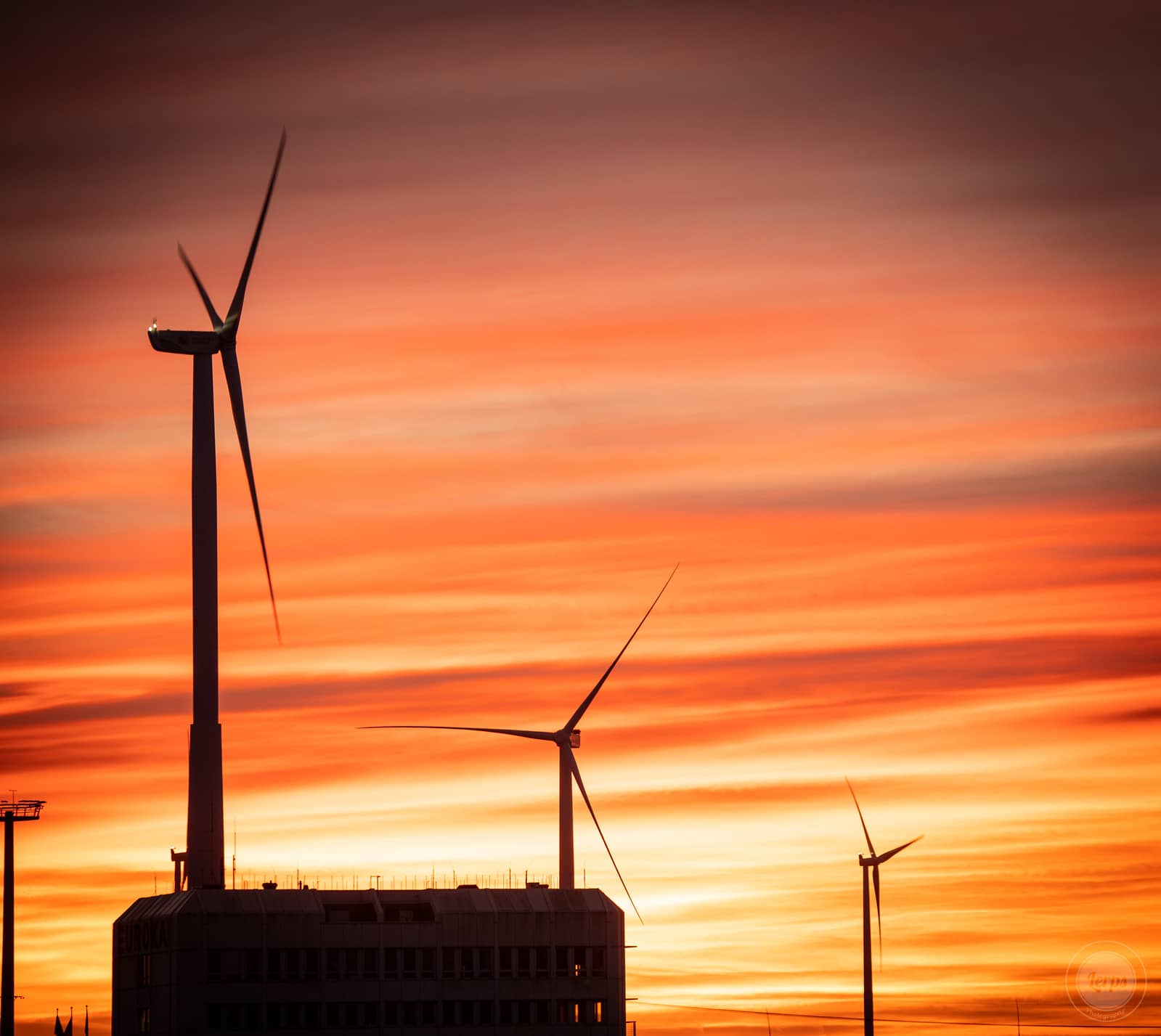 Las compañías energéticas, cada vez más sociales