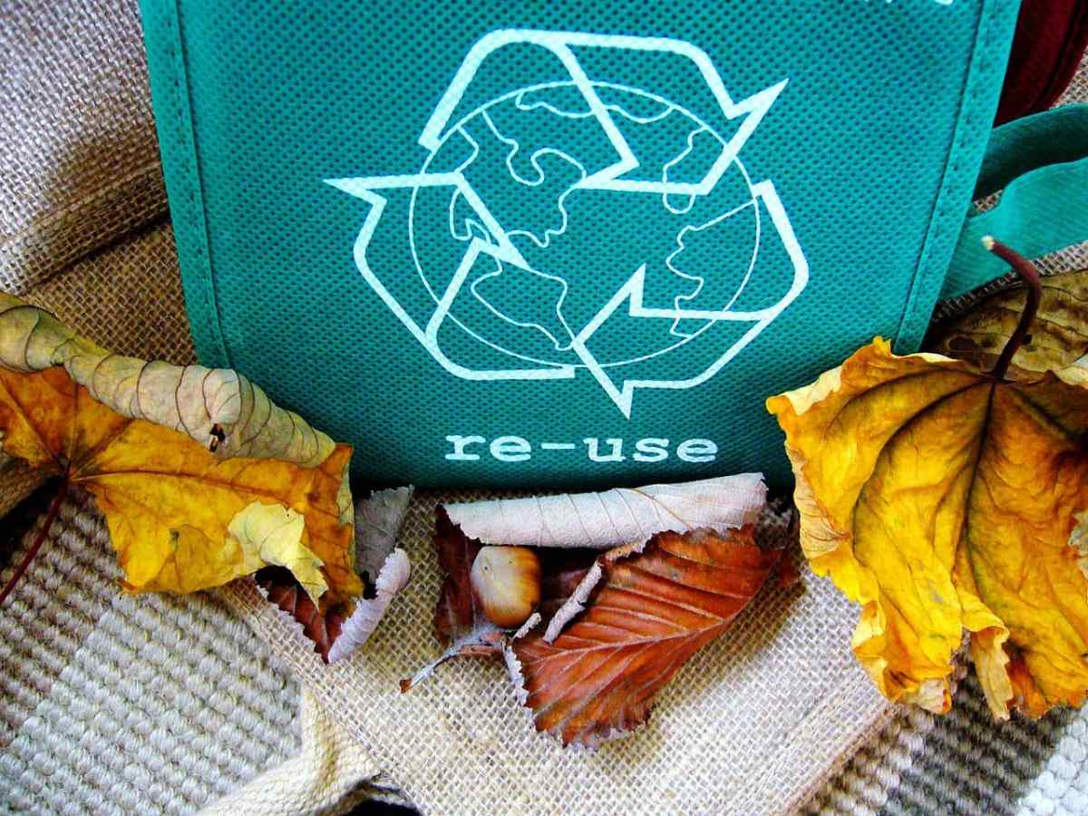 Economía circular: reciclar y reutilizar