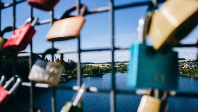 Factor humano ciberseguridad