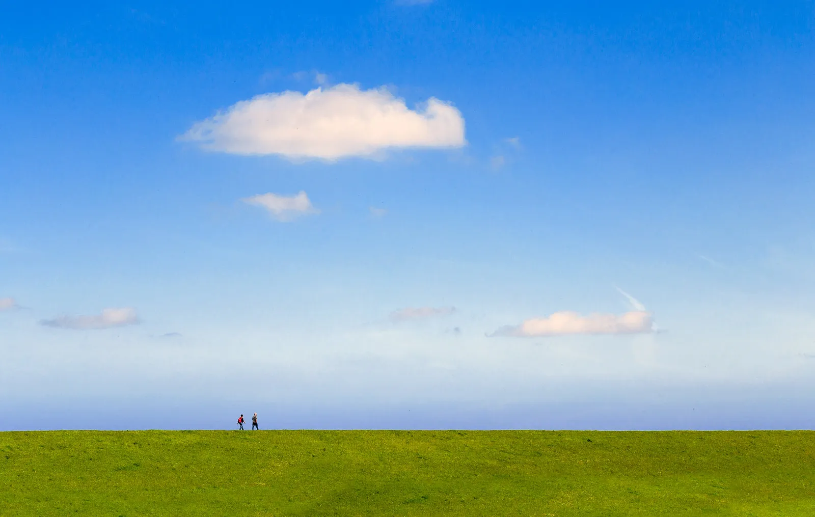 Cero emisiones: una hoja de ruta insoslayable