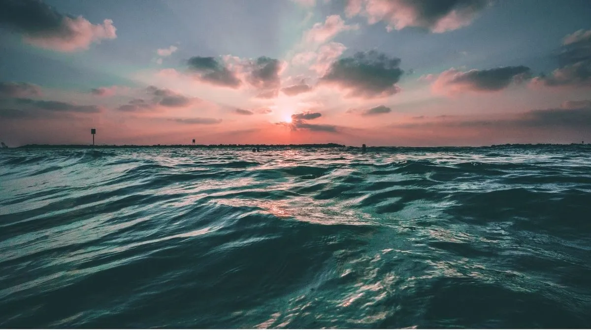 AI of Things (II): El agua, un mar de datos