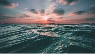 AI of Things mar datos