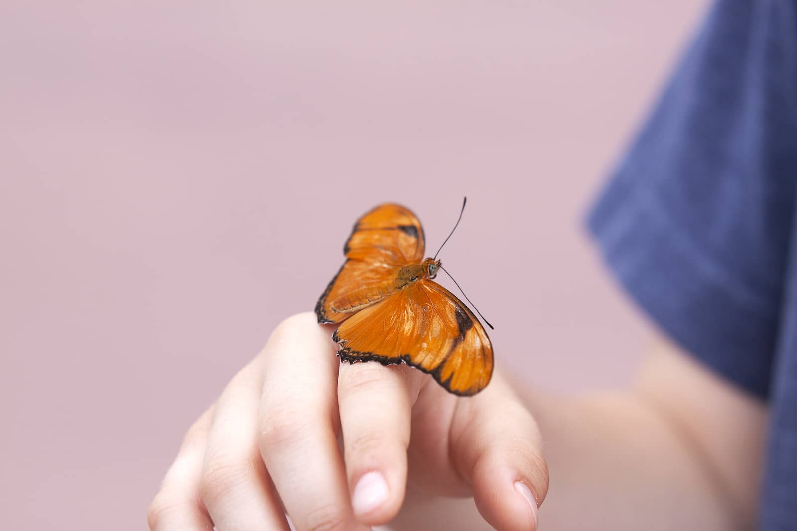 Innovación en sostenibilidad para mejorar los resultados