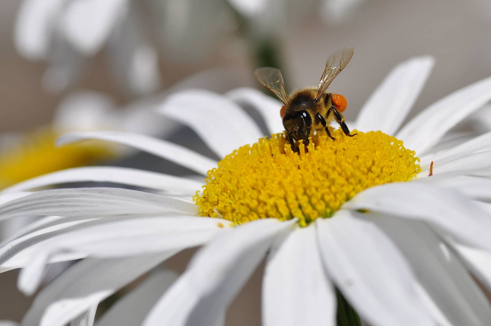 Noticias fantásTICas de agosto
