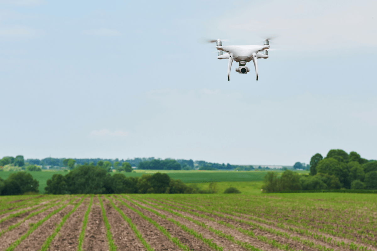 De juguete a herramienta del campo: los drones